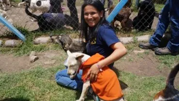 Colombia zwerfhonden 2