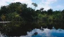 james-cheung-bWyh1FC7JrI-unsplash