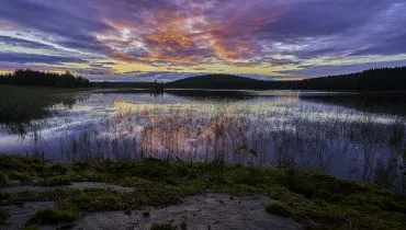 A photo by Tommi Saltiola. unsplash.com/photos/1nBvotYiZQI