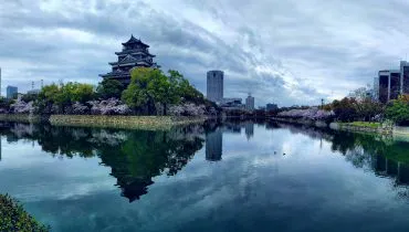 JPN – Vetle Wiencke