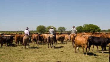 Gauchos in Paraguay