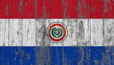 Flag of Paraguay painted on worn out wooden texture background.