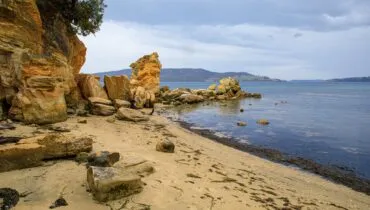 pexels-peter-robinson-3929379