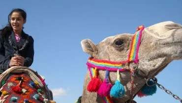 AFS USA_Egypt2008-09-year-program_3114299592_o