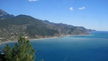 AFS USA_Turkey_4518553802_o