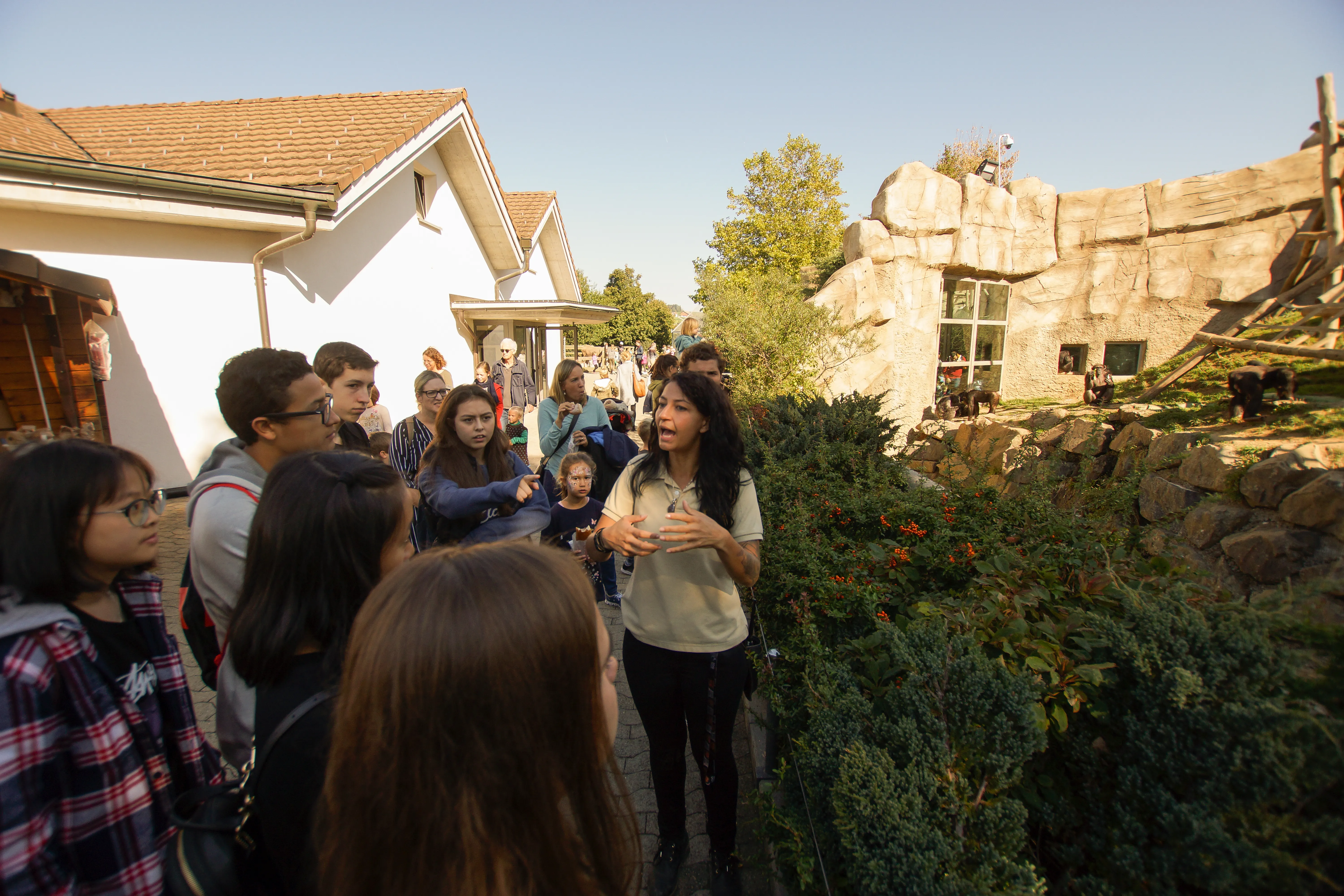 Jana erzählt über die Schimpansen