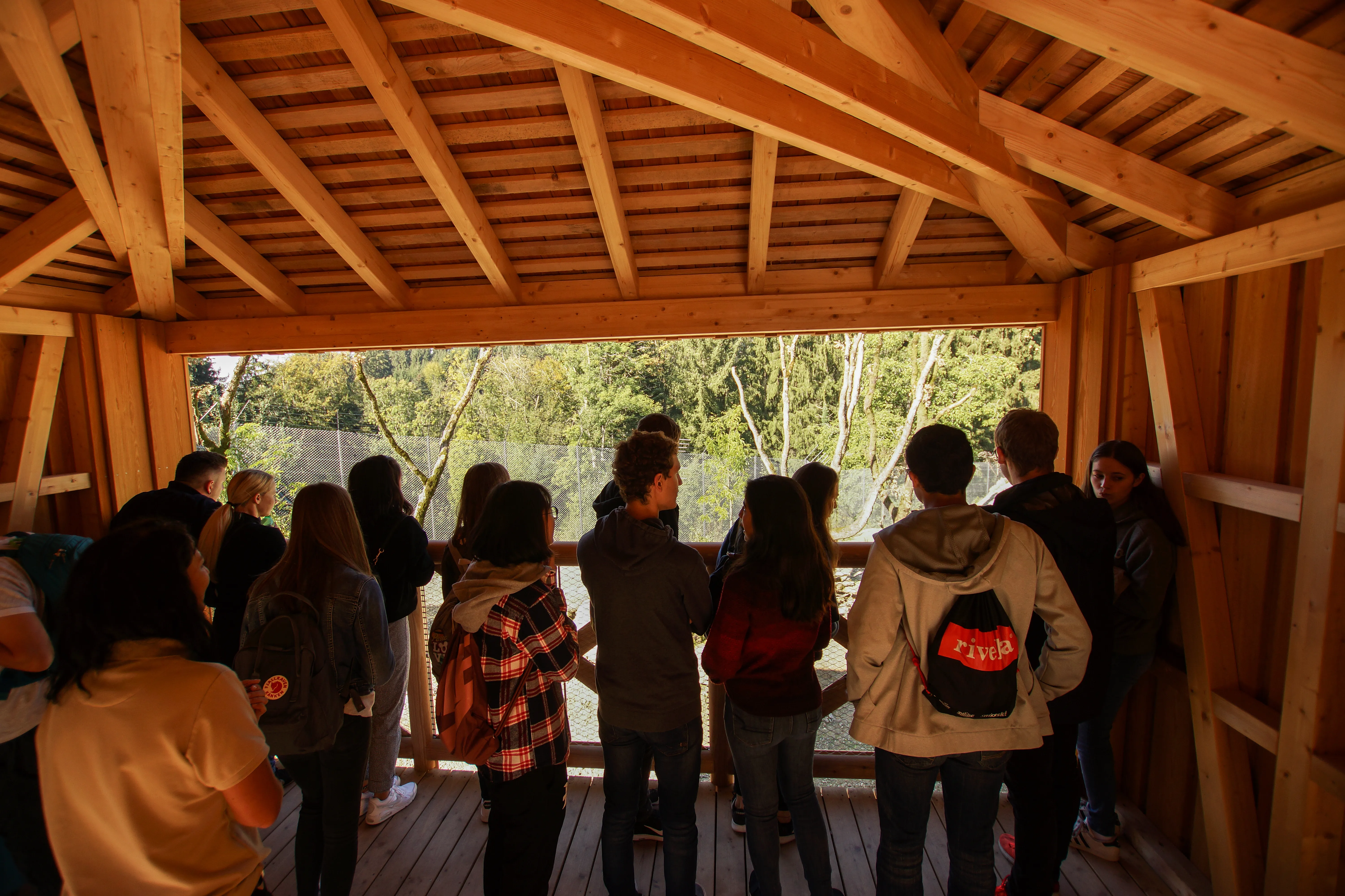 Aussichtsplattform Löwengehege