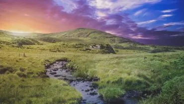 ASF_irland_trimesteraustausch