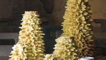 sakotis2-5720d65a5f9b58857d2d9fb3