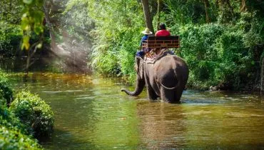 atividades-tailandia-passeio-elefante