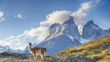 70f8473f49340700ba6c71433982c5ff