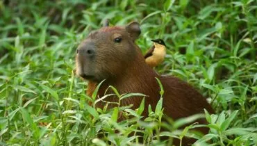 44d0cf1da0271daa238dbc17b7807791