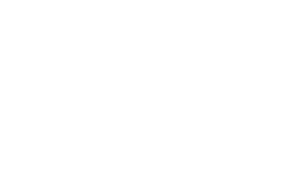 AFS International Logo