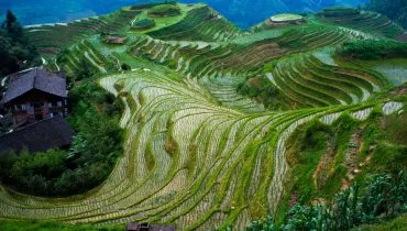 Campos de arroz, Filipinas