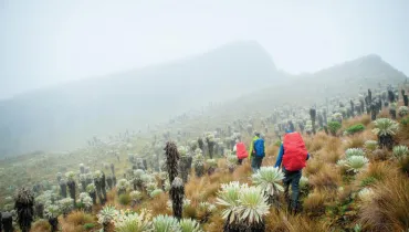 AFS Connect + Colombia (12)