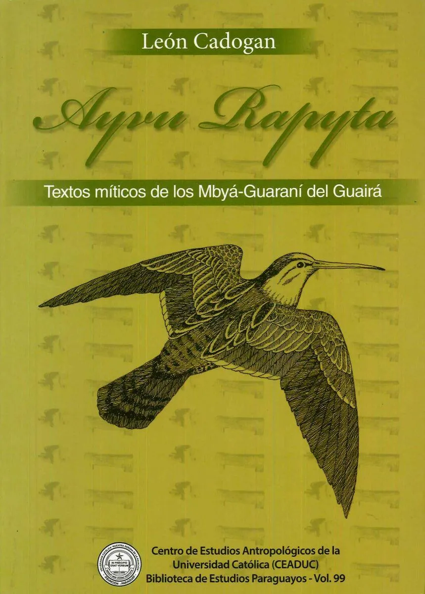Ayvu Rapita