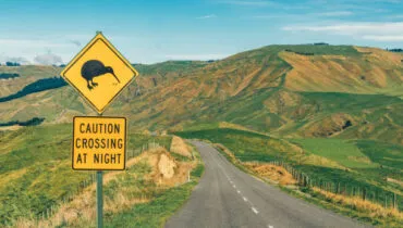 Por qué se llama kiwis a los neozelandeses