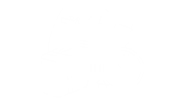 s02nn.PNG