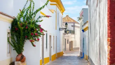 portugalsko_semestr