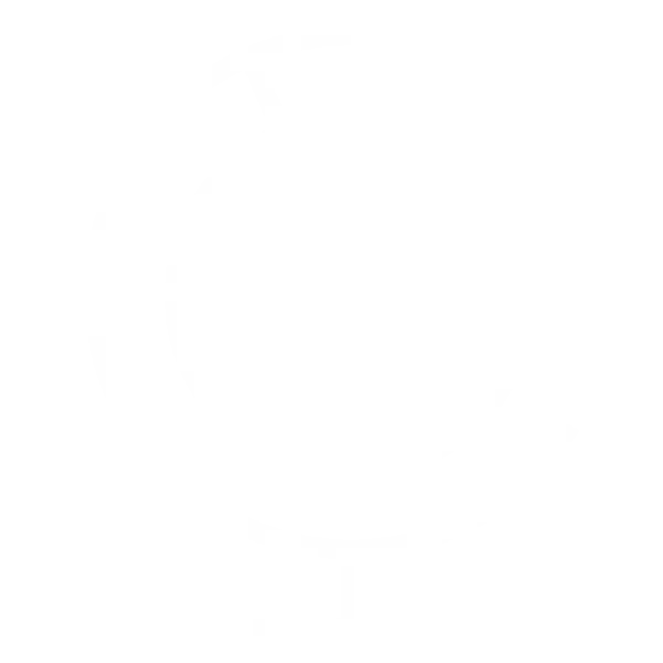 AFS_PO_globus_icon