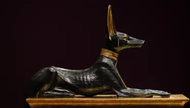 egypt_trimestr