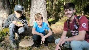 IMG_20241028_120557 (1)