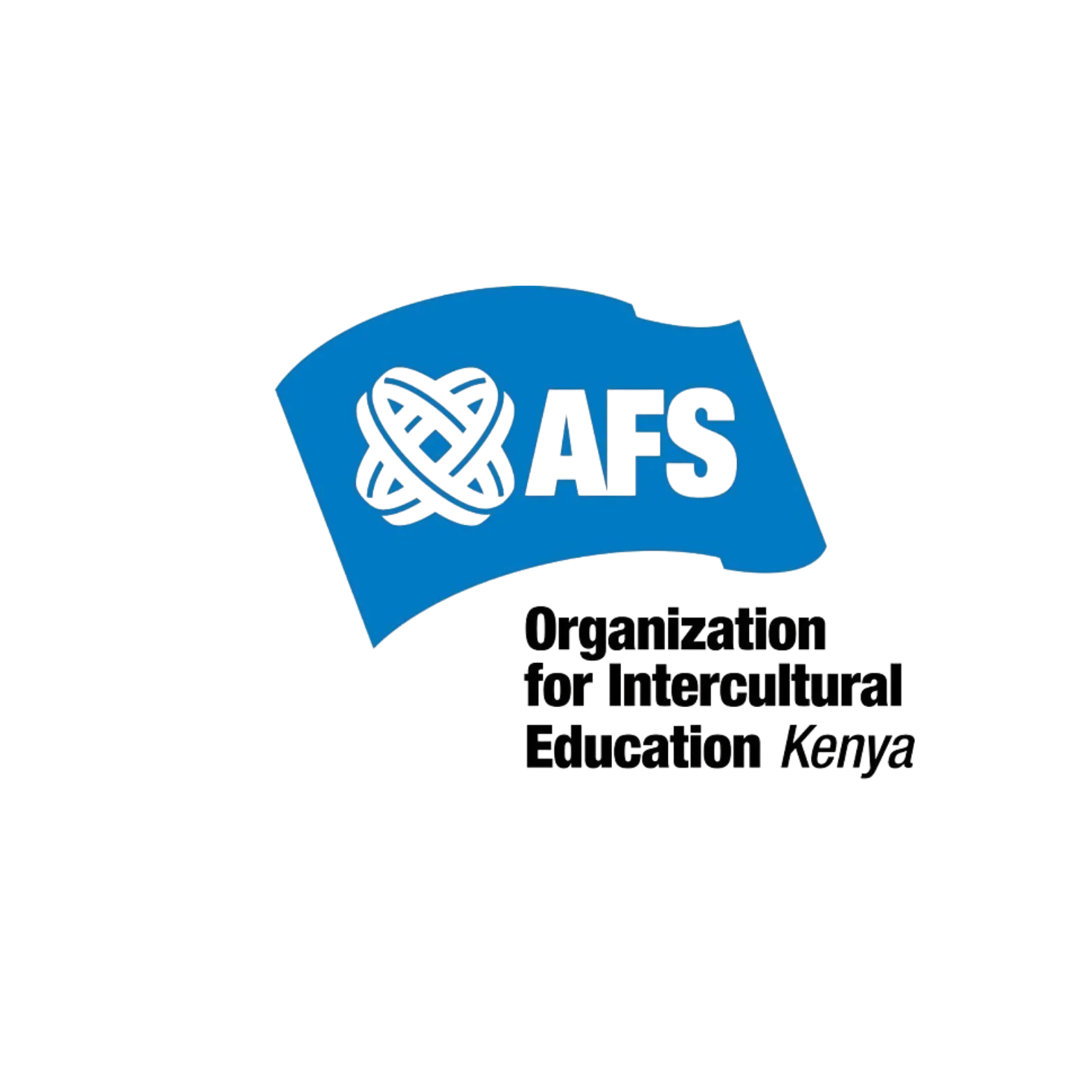 AFS International Logo