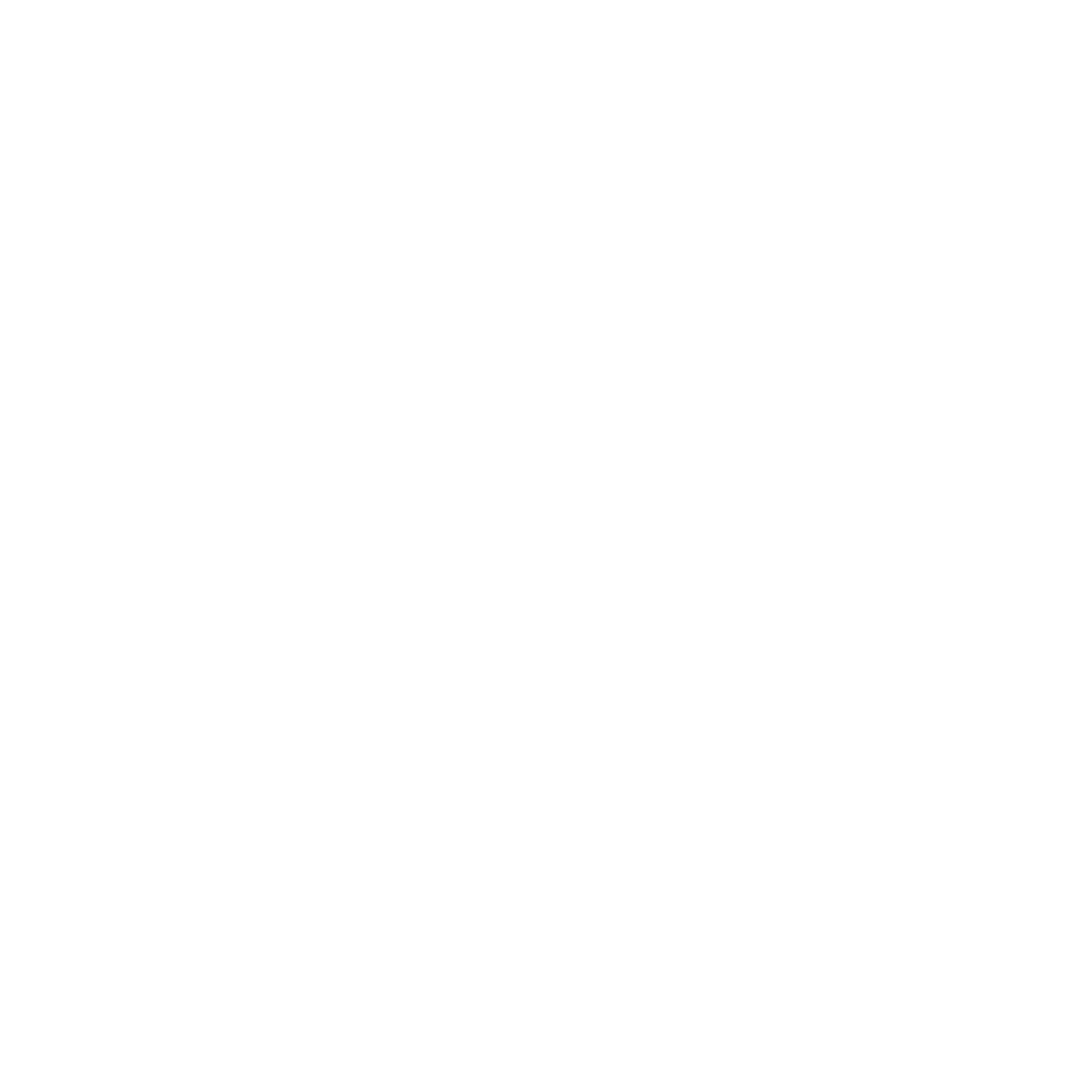AFS International Logo