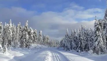 WhatsApp Image 2021-11-03 at 15.34.55